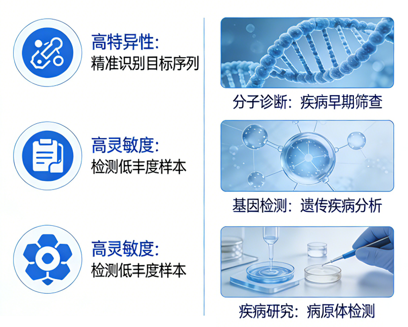 探针合成.png