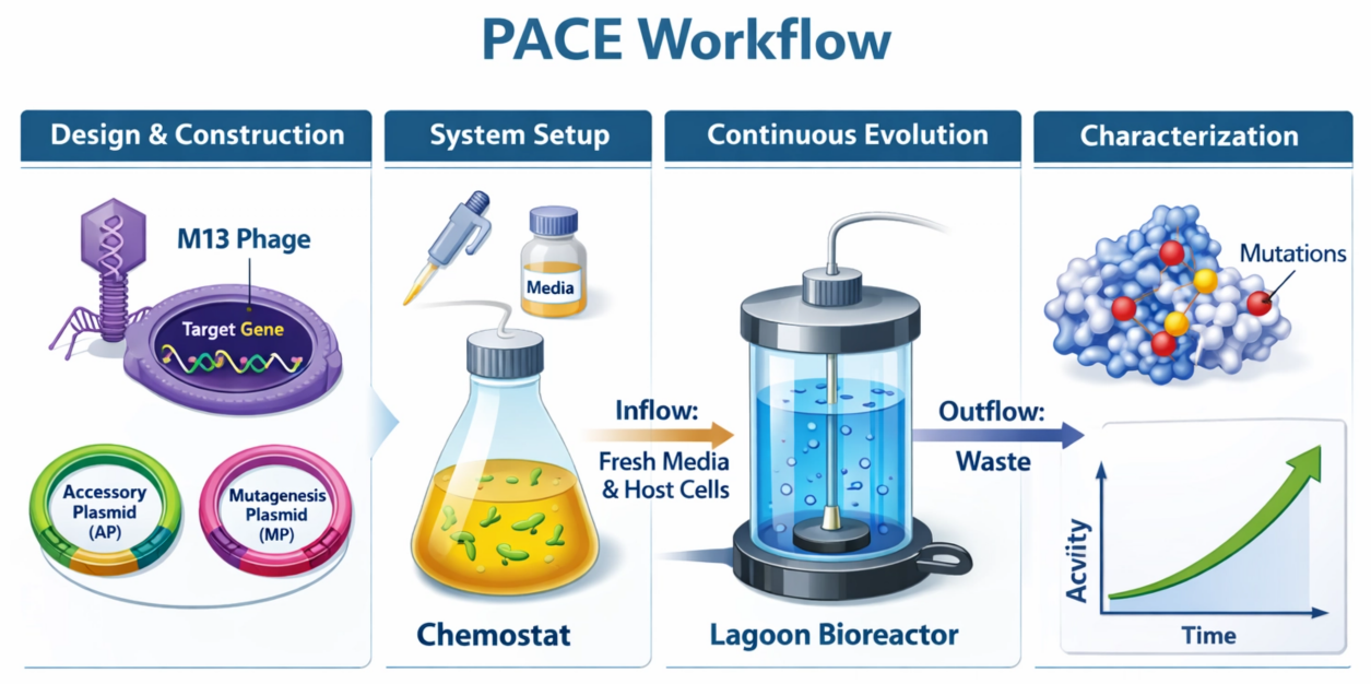 PACE.png