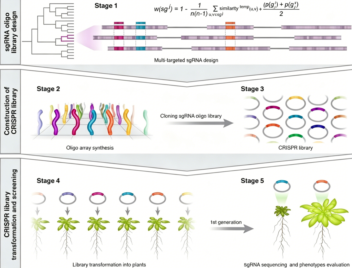 PlantCRISPR (2)