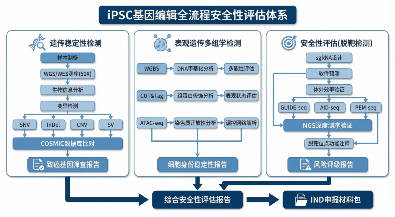 ipsc_workflow_visual_white