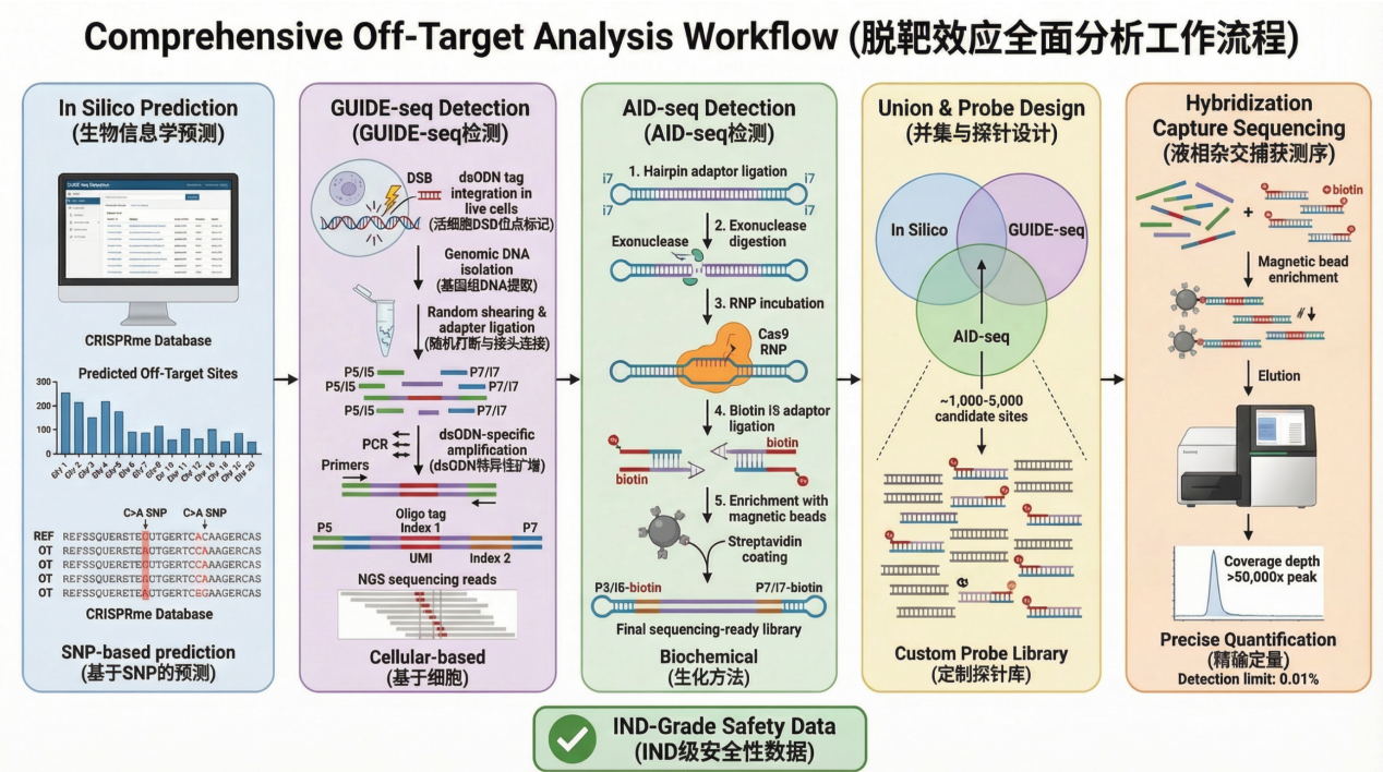 module4_workflow_final