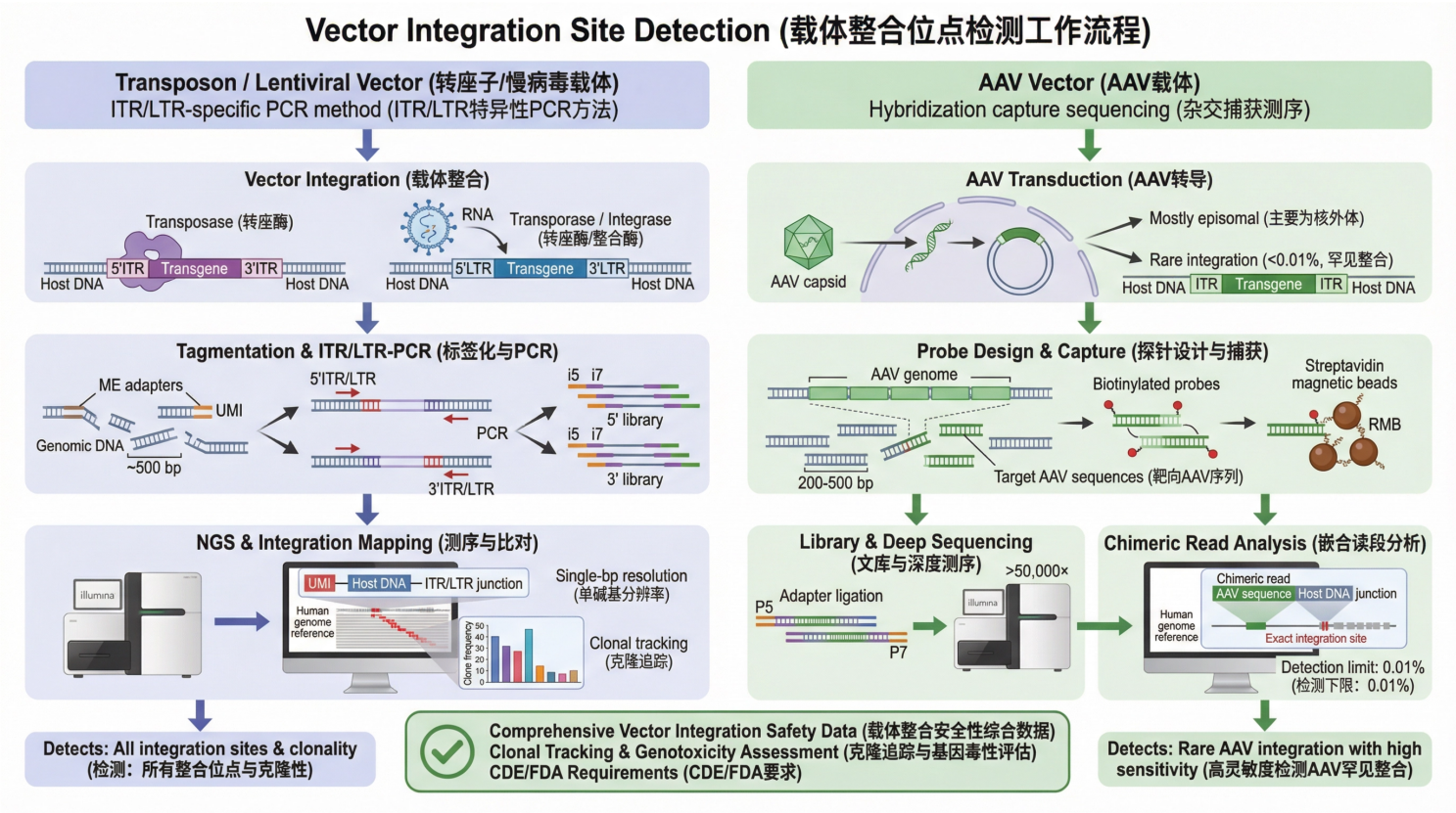 vector_integration_simplified (1)