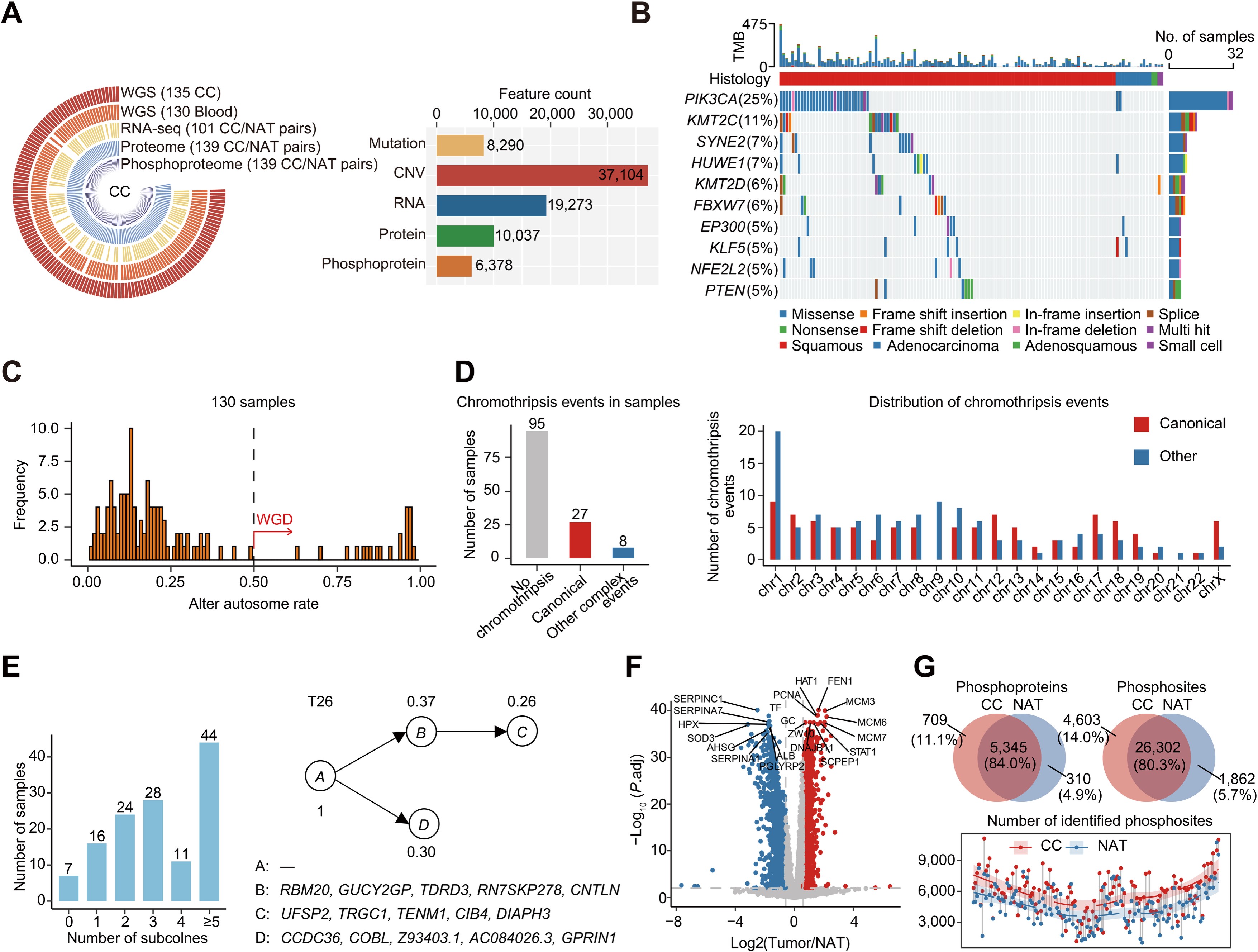 JCI | First Genome-Wide Proteogenomic Landscape of Cervical Cancer
