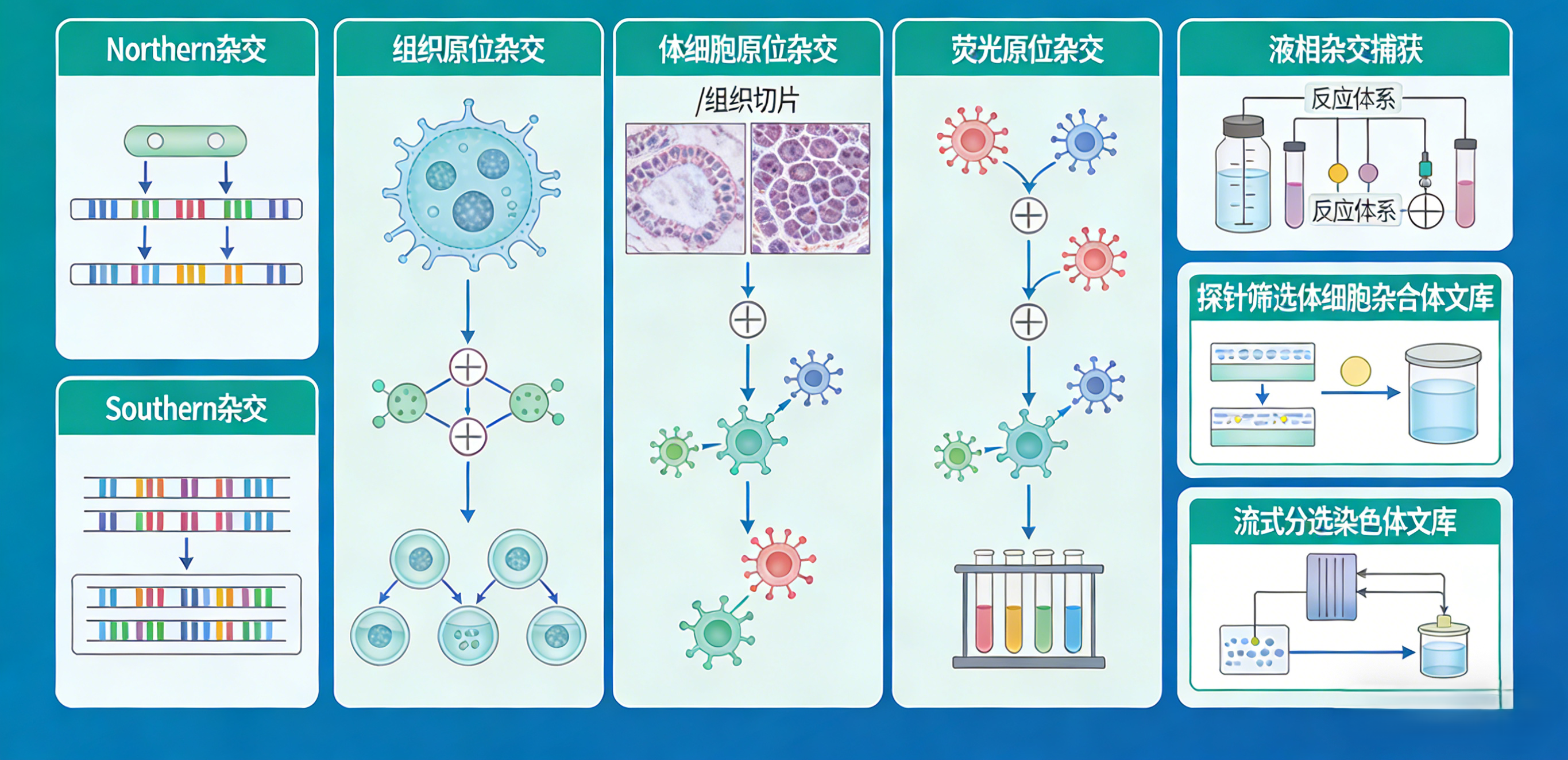 生成产品应用原理示意图.png