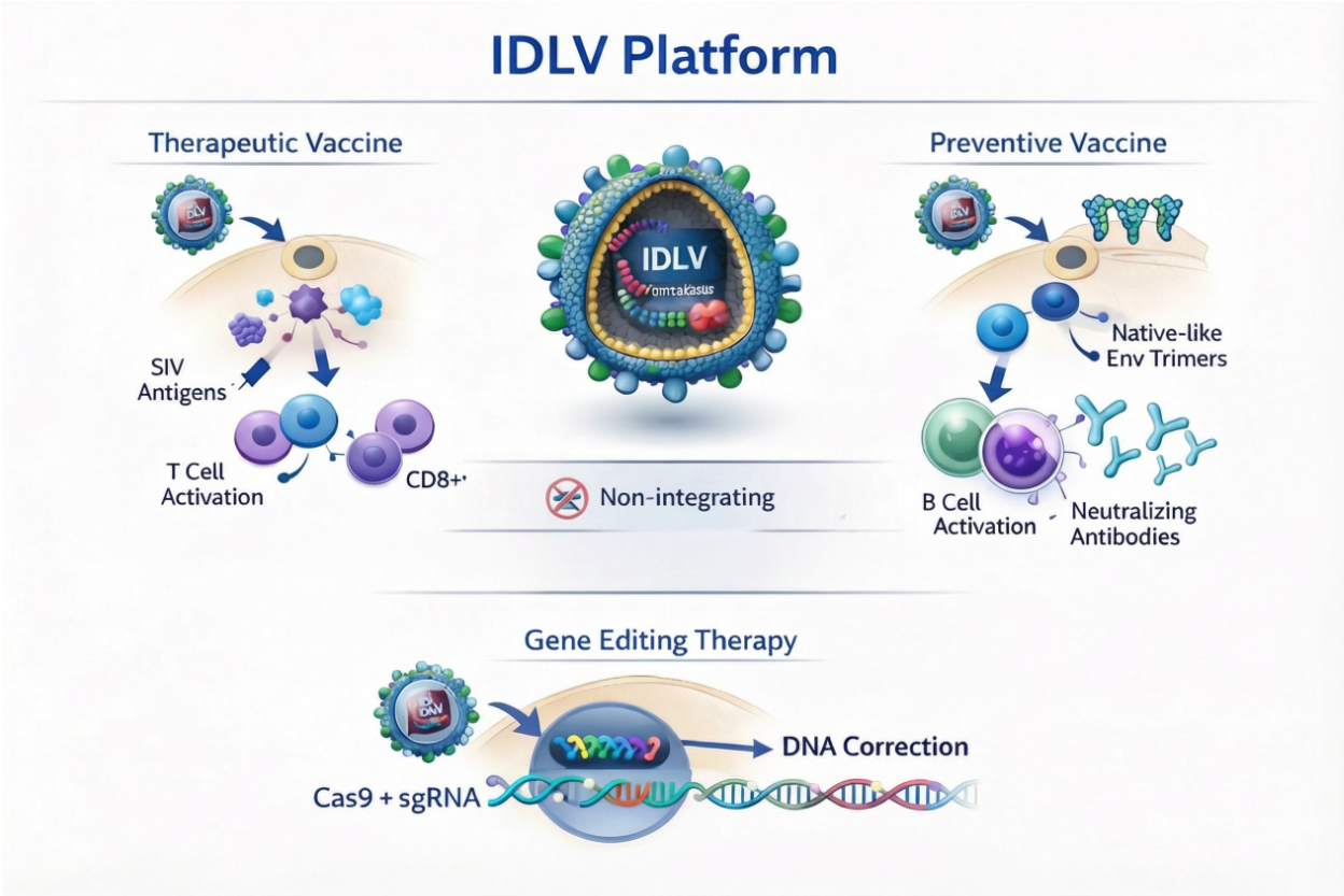 idlv_applications_biorender_v3 (1).png