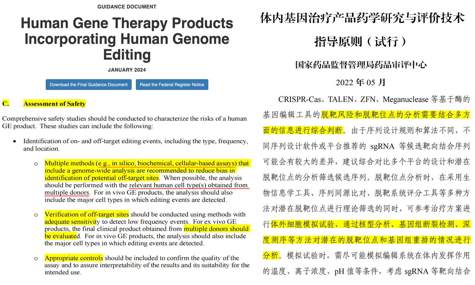 1 - GeneRulor | Gene Editing & CGT Safety Assessment Service Provider
